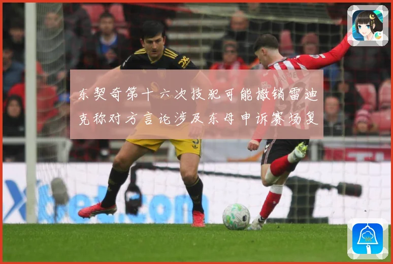 东契奇第十六次技犯可能撤销雷迪克称对方言论涉及东母申诉赛场复盘